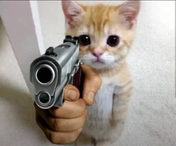 Cat with Gun Auto Opinions